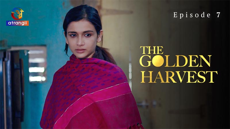 The Golden Harvest | Season 01 | Episode 07